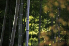 天龍寺