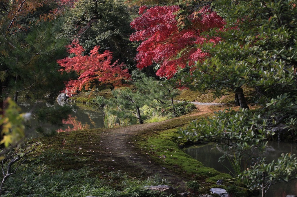 金閣寺