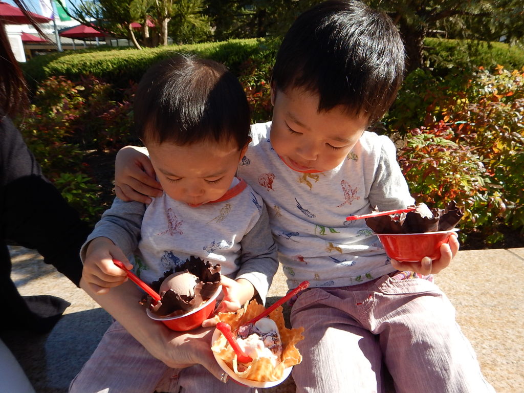 DSCN3081