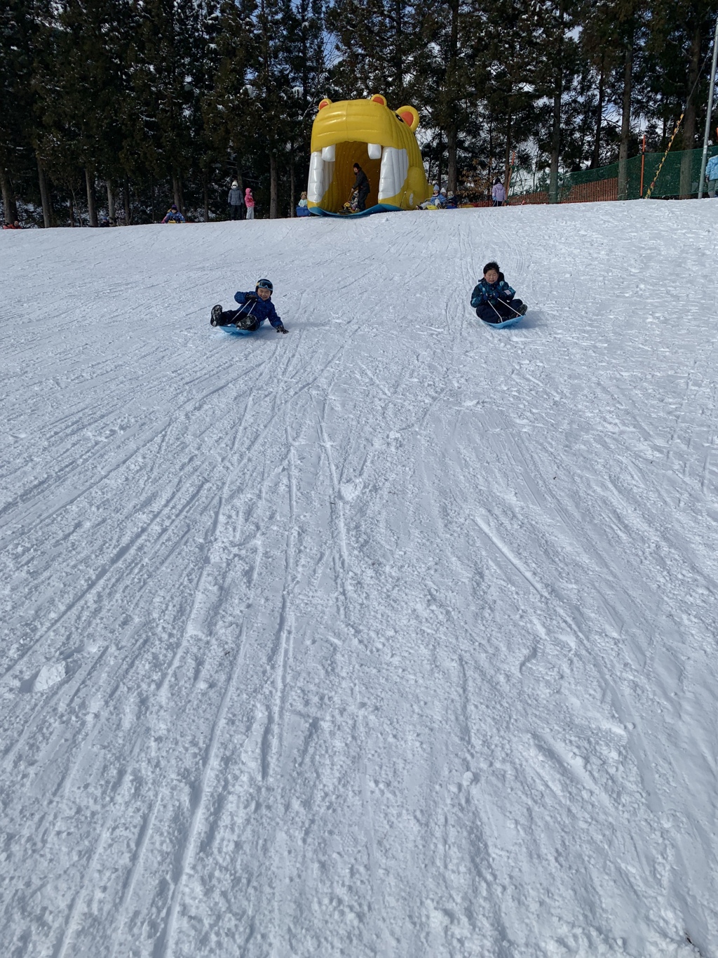 IMG-5656