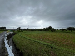 IMG_4385