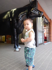 DSCN2568