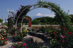 ROSE GARDEN FUJI