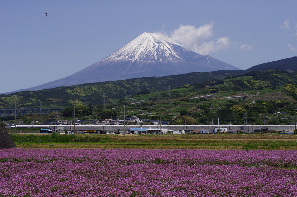 GAKUNAN