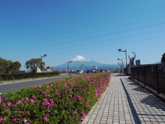 街道の向こう