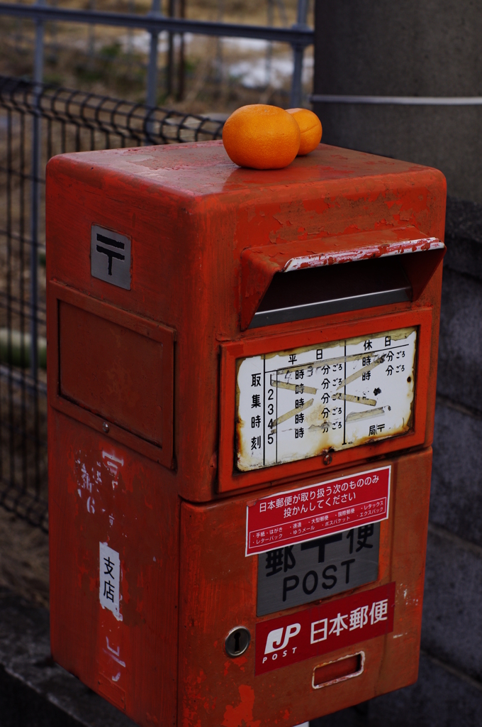 今年もお疲れ様