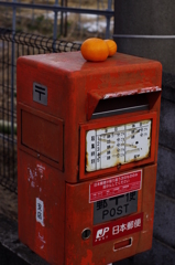 今年もお疲れ様