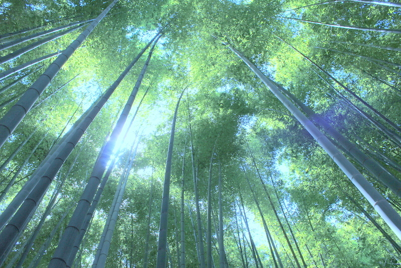 鎌倉