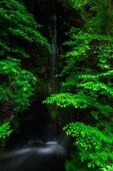 20130608-IMG_3761