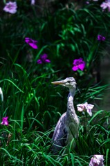 20130607-IMG_3505