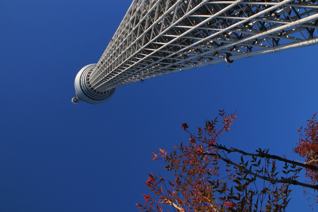 東京スカイツリー