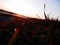 夕日が照らす