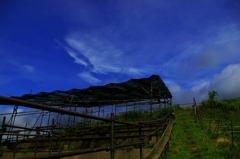IMGP0209