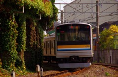 IMGP1089