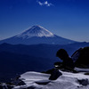 絶景独り占め