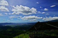 IMGP0211