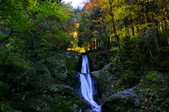 IMGP1853