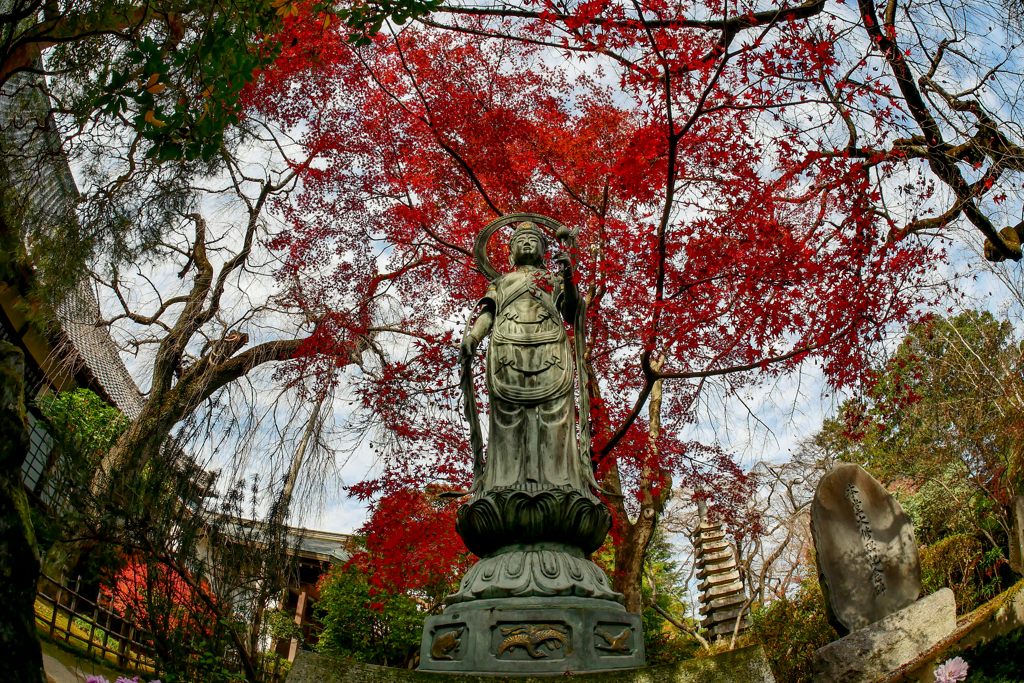 川越中院2