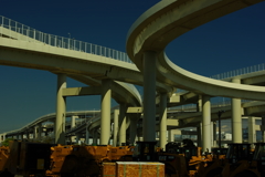 IMGP0481