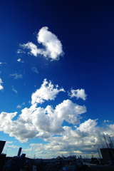 IMGP9462