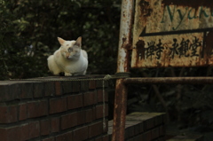 哲学の道