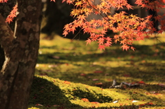 南禅寺