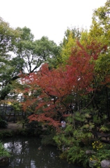 樂水園