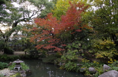 樂水園