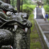 狛龍