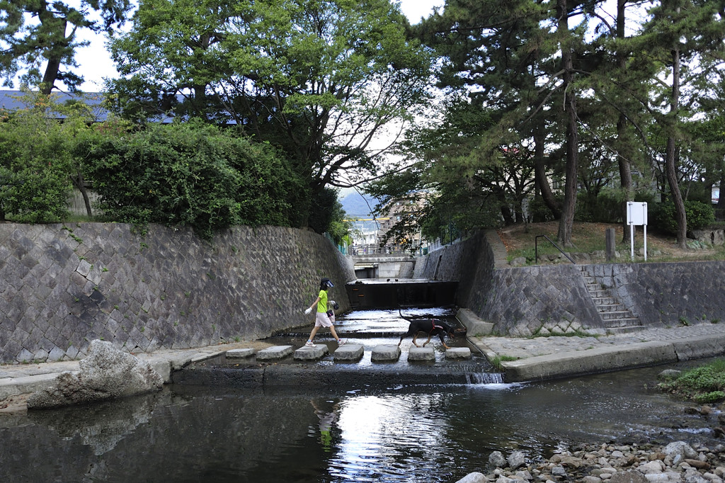 散歩道