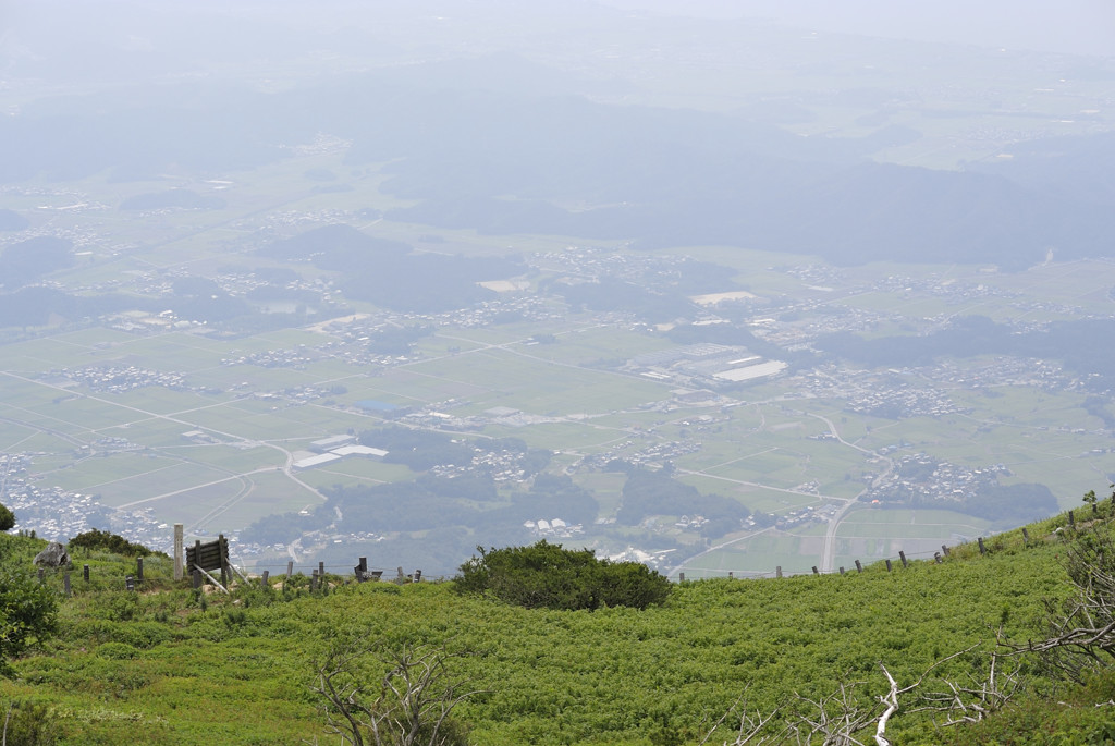 足元の風景