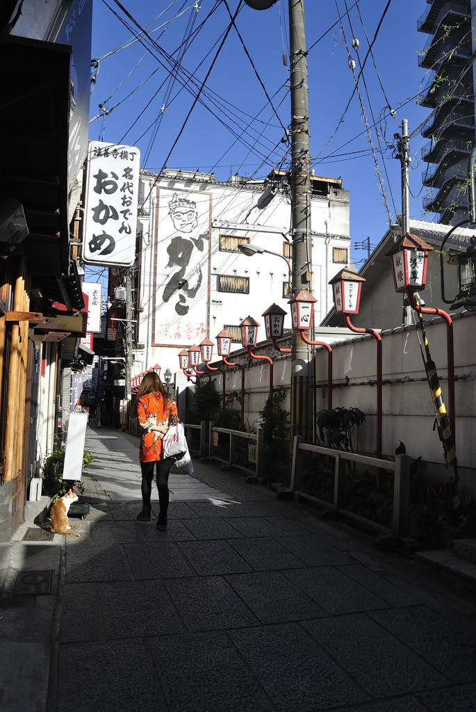 横丁の猫