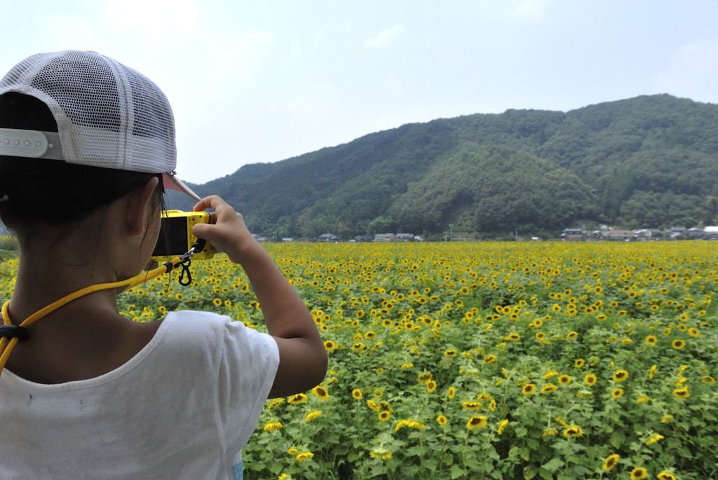 小さなフォトグラファー