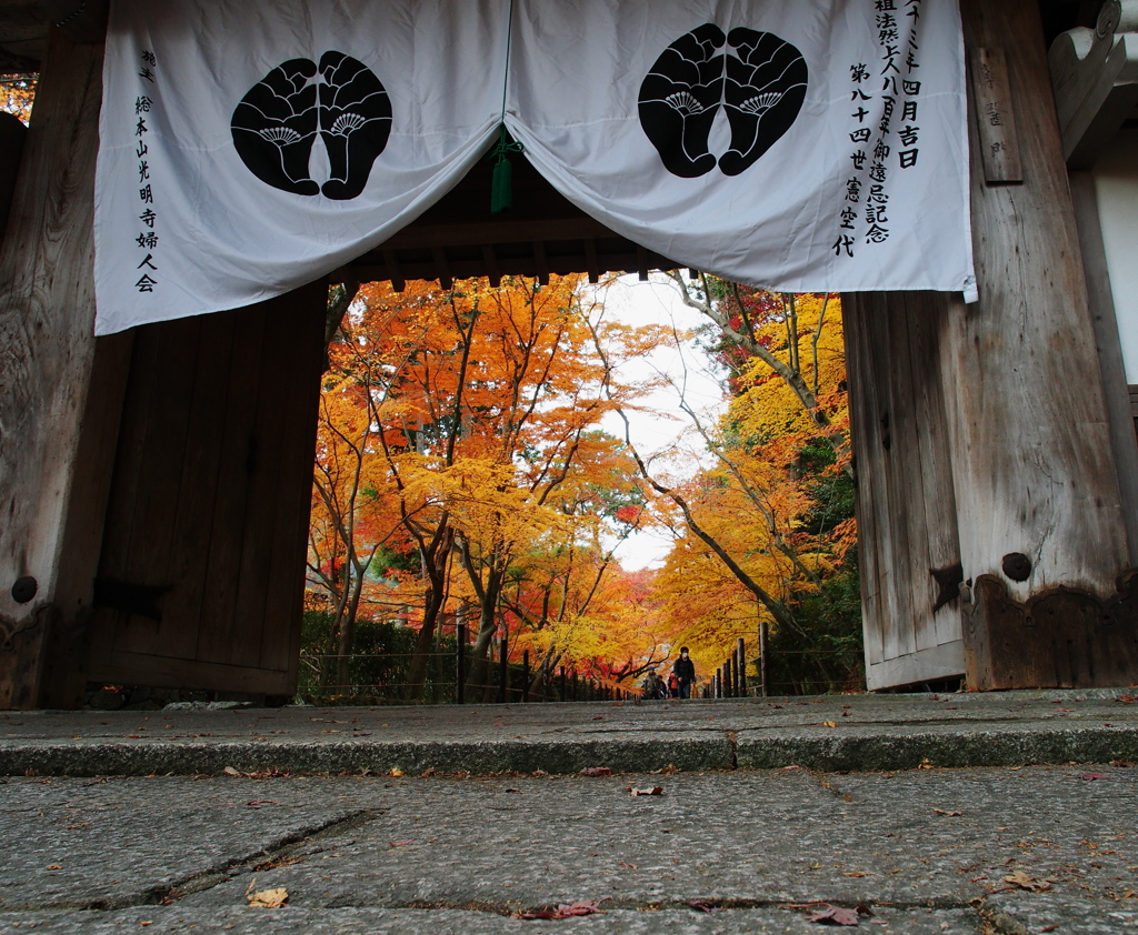光明寺-2