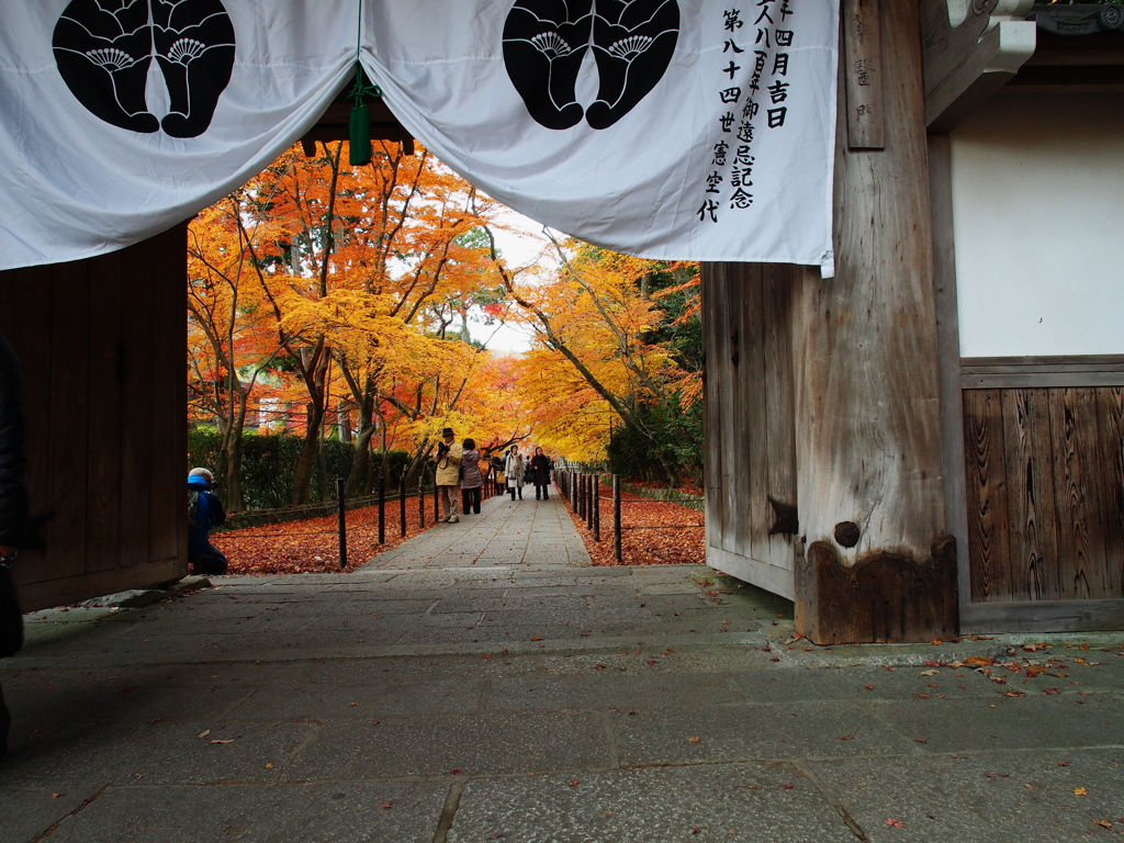 光明寺-4