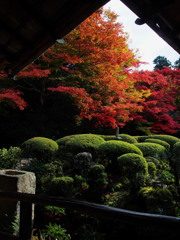 詩仙堂 丈山寺、１０１２年、秋