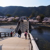 桜・錦帯橋