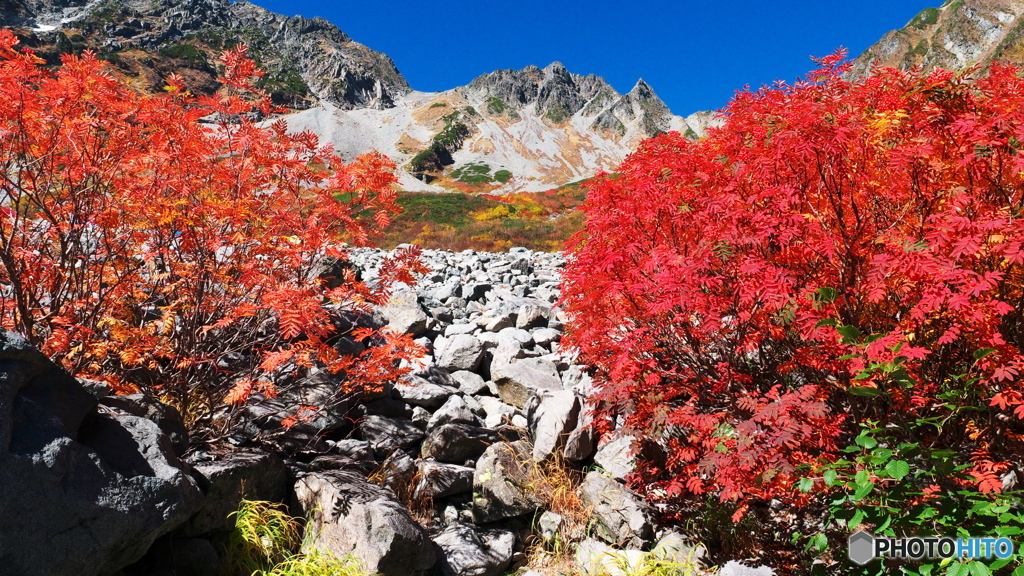 涸沢・紅葉、2015年、