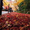 光明寺-8