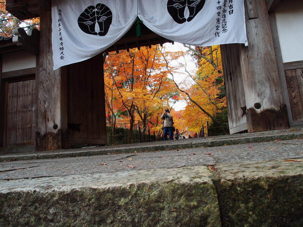 光明寺-1