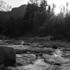 IMG_4547
