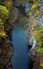色づきの峡谷