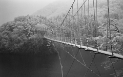 初雪と吊り橋