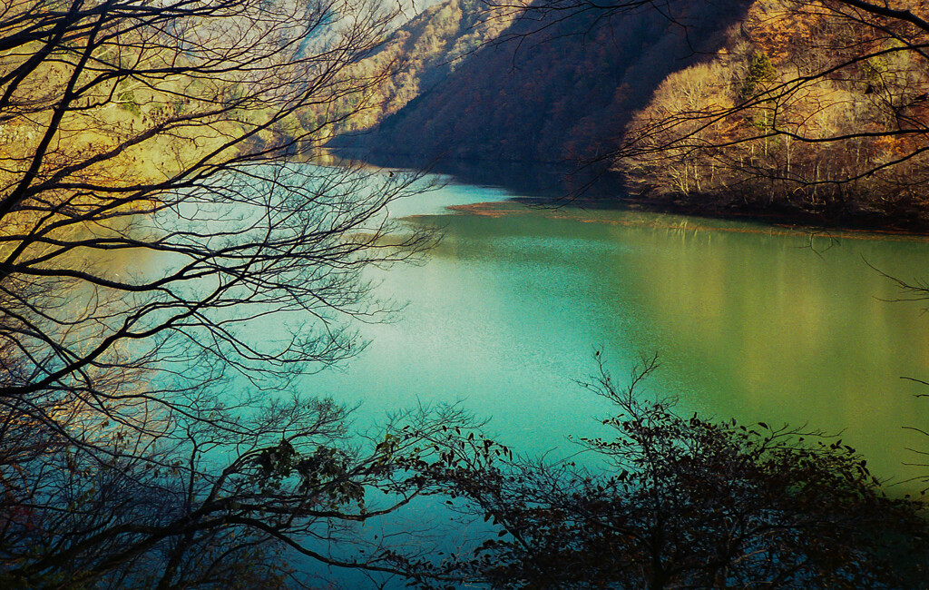 落葉の湖
