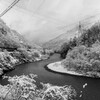 賑やかな雪景色