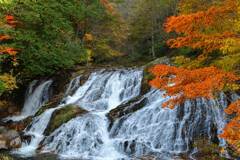 紅葉と魚帰りの滝