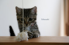 tebasaki 2