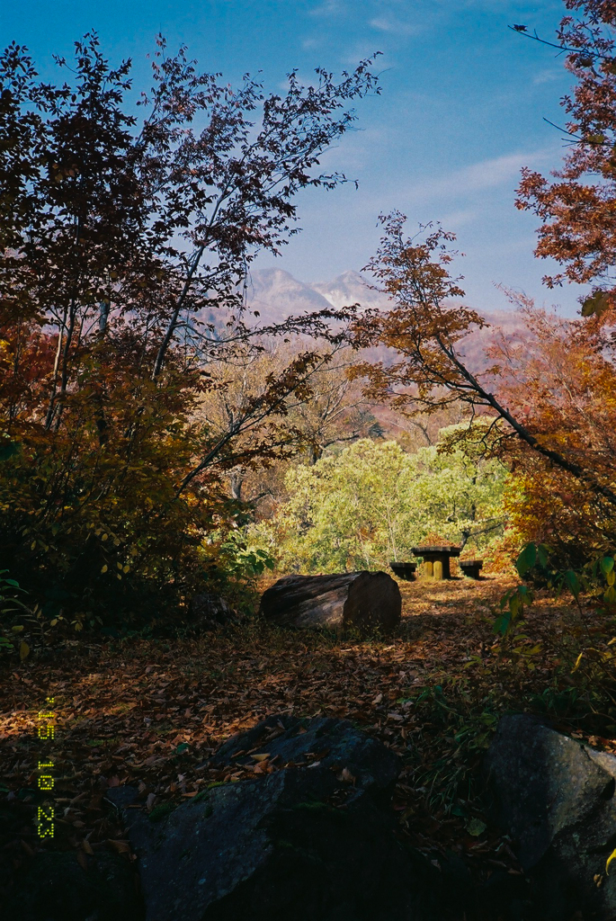 紅葉と白山