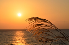 夕日