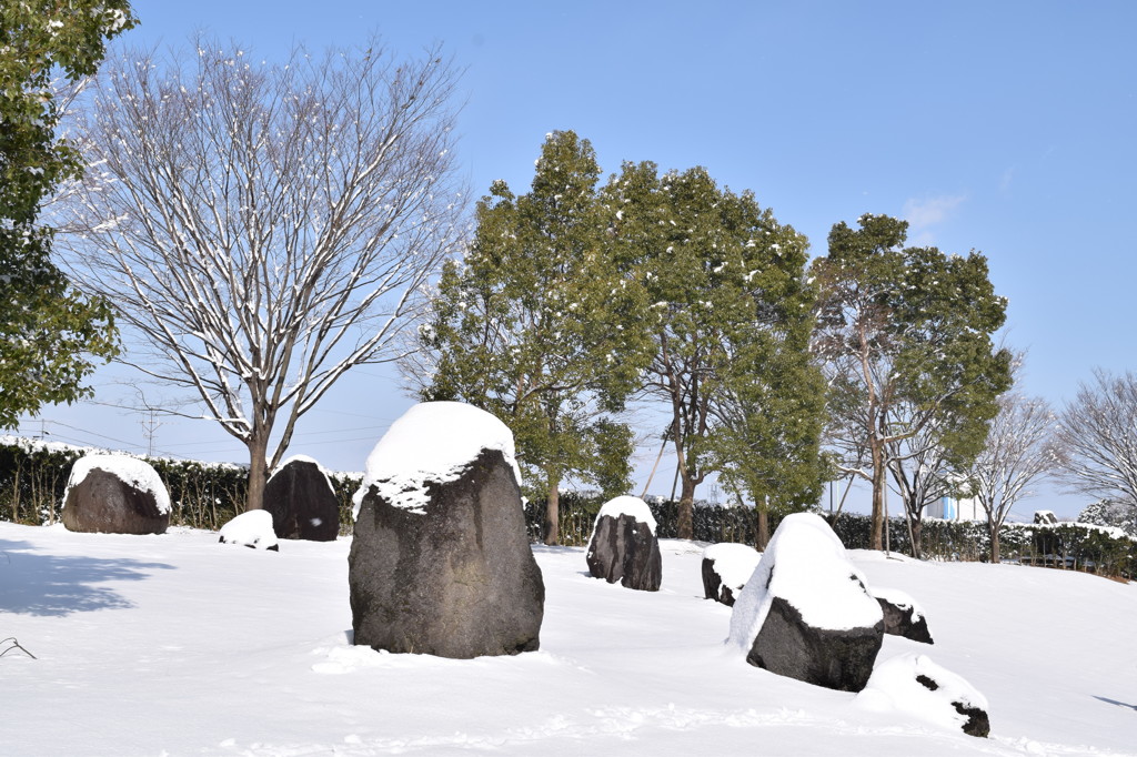 頭隠してお尻隠さず